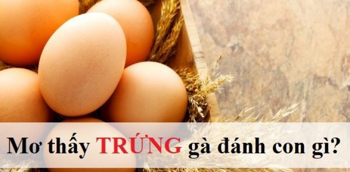 giấc mơ thấy trứng gà