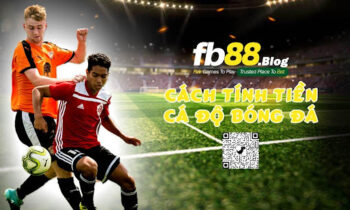 Tìm hiểu về cá độ bóng đá trực tuyến tại FB88