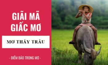 Mơ thấy trâu đánh con gì? Chiêm bao thấy trâu điềm gì?